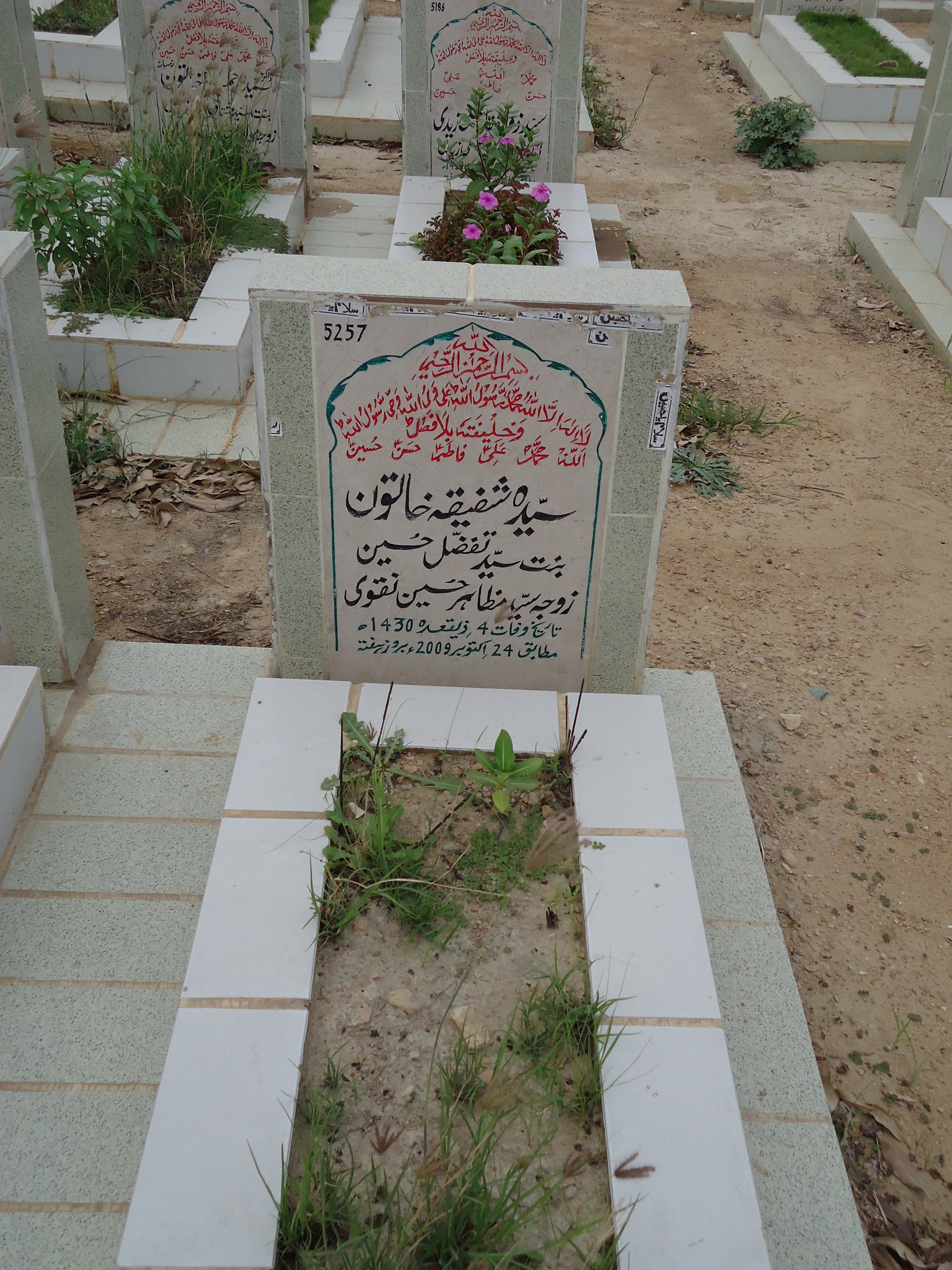 5257 – Syeda Shafiqa Khatoon